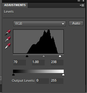 Tutorial Image 4 - Levels Layer Histogram.