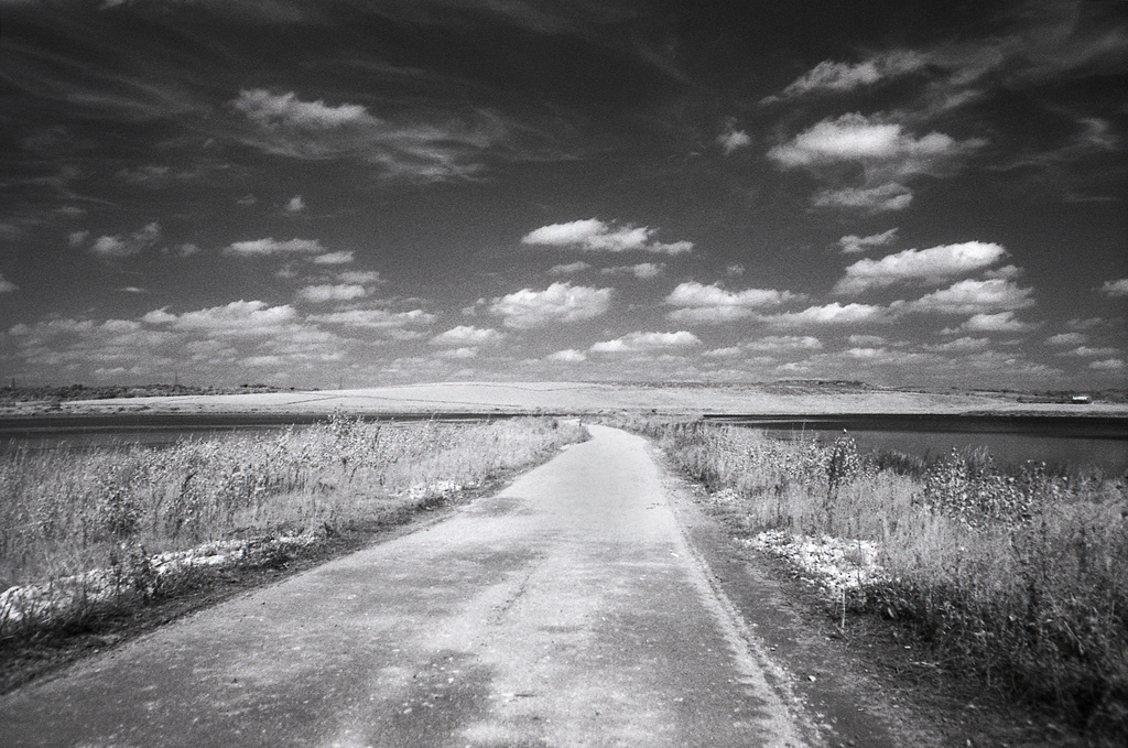St Aidan's Colliery, Swillington - Praktica TL-5B with Vivitar 28mm f/2.5 (red filter) and Konica IR 750; 1/30s, f/8.