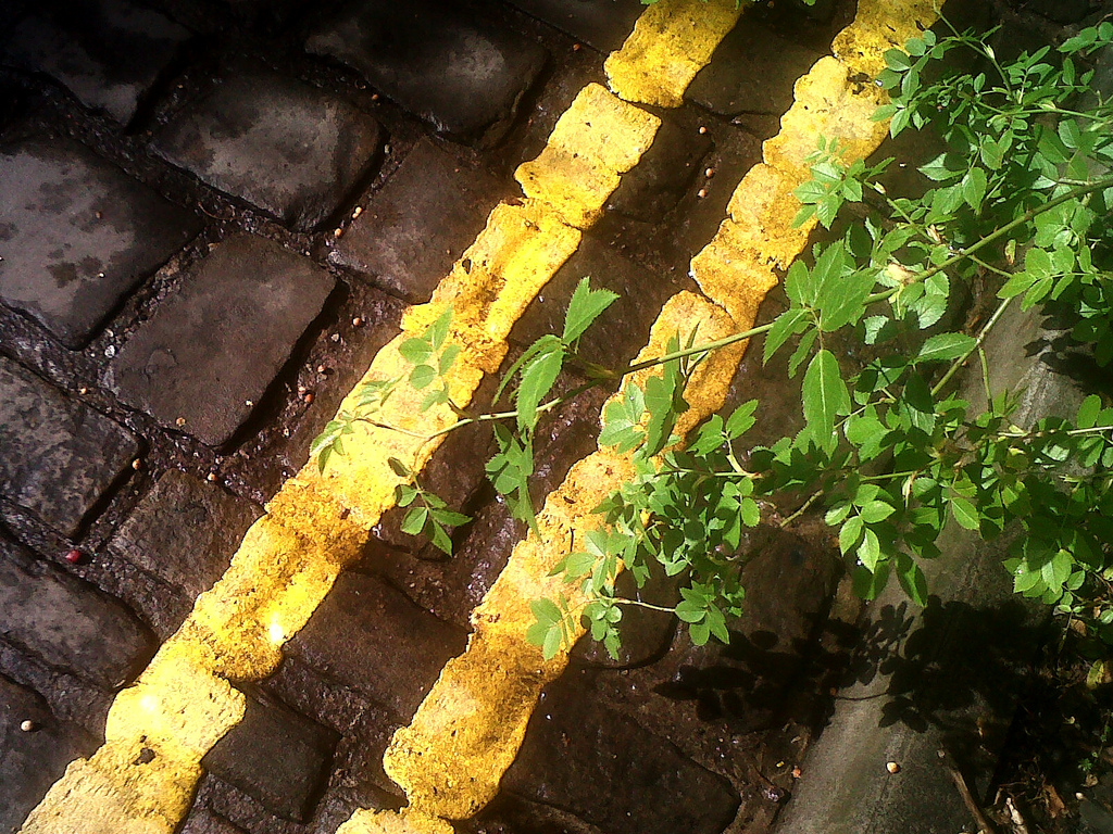 Yellow Lines - BlackBerry Curve 8520