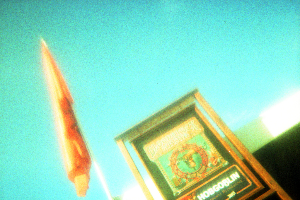 Flag - Halina Vision 20/20 and Rollei Crossbird