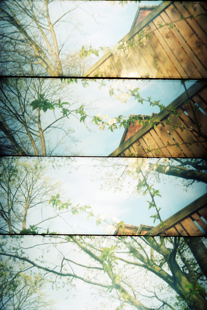A film photo shopwing four panels each with part of a fence and a tree