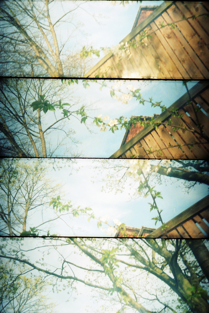 Fence - Lomography Supesampler and Kodak Portra 800