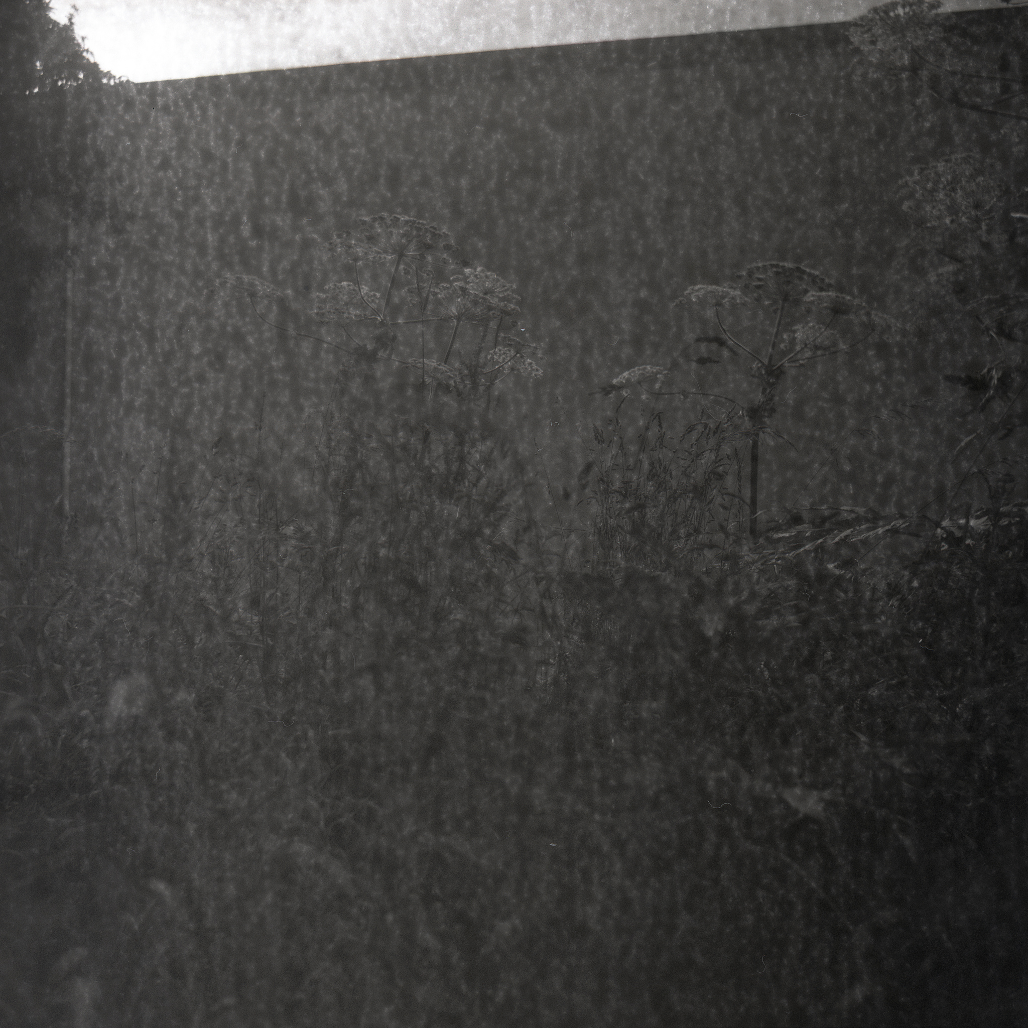 Berlin – New Leftfield Acid Techno