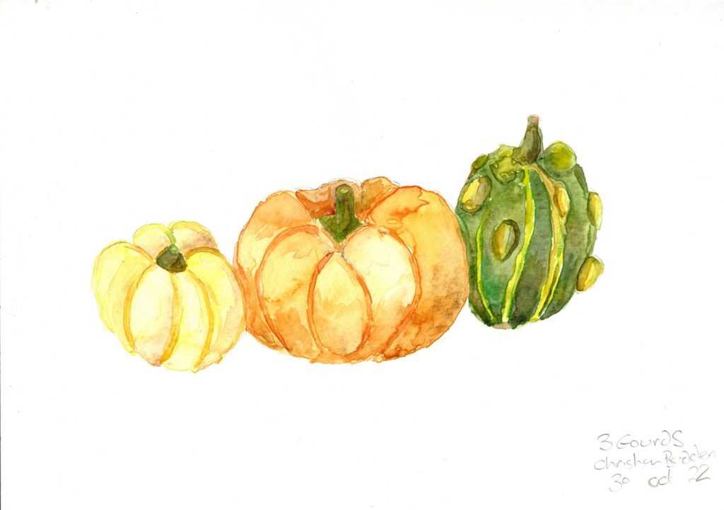 Watercolour painting of 3 gourds