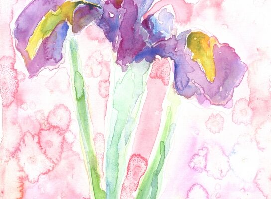 Nostalgia of Pastels