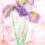 Nostalgia of Pastels