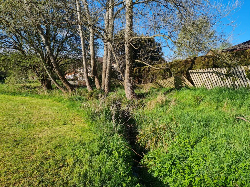 The Pacth of a small beck in the grass