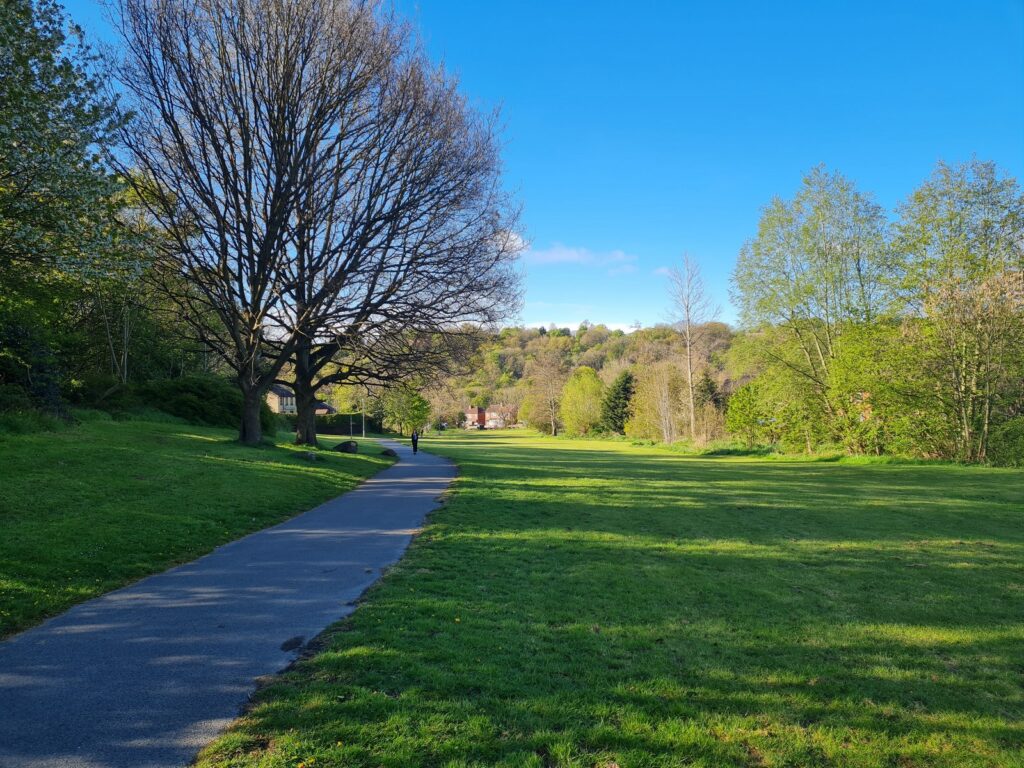 A Path through a small park