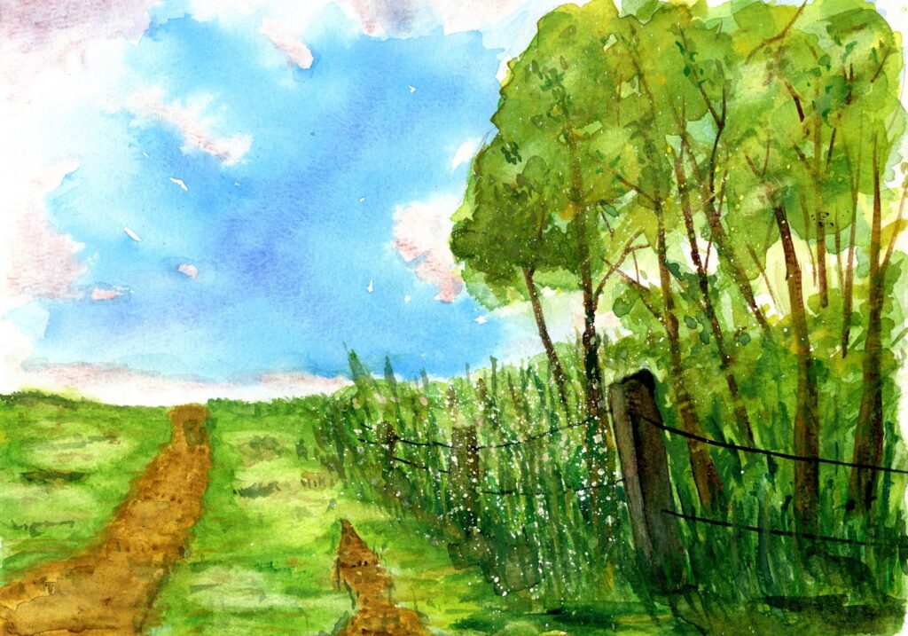 A watercolour painting of a track by some trees