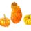 Various Pumpkins and Gourds