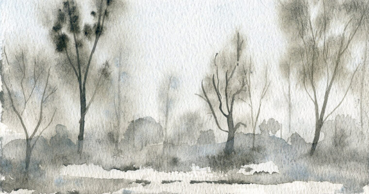 Ice Grey, Snow White