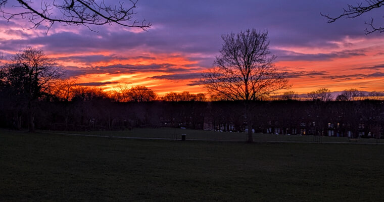 Hyde Park Sunsets