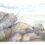 Woodland Paths and Welsh Rocks