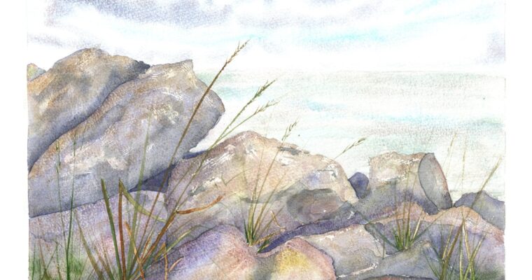 Woodland Paths and Welsh Rocks