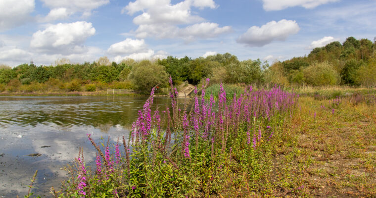Aire and Calder Navigation Revisited