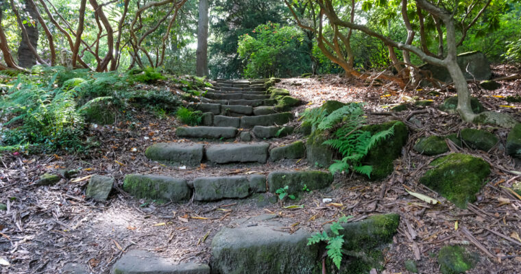 Fuji XT-30iii Meanwood Walk